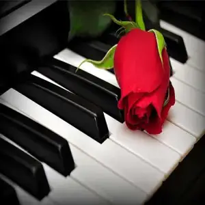 RadioArt: Solo Piano